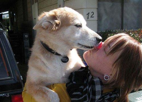 娱乐吃瓜酱舔狗,娱乐界的甜蜜苦涩